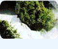 Download United States ZIP Code Database Products